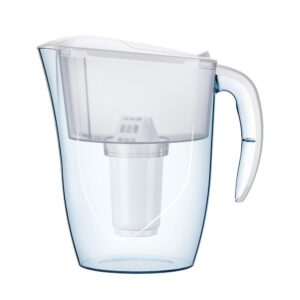 Carafe filter for purifying and depolluting water. The filter inside purifies tap water.