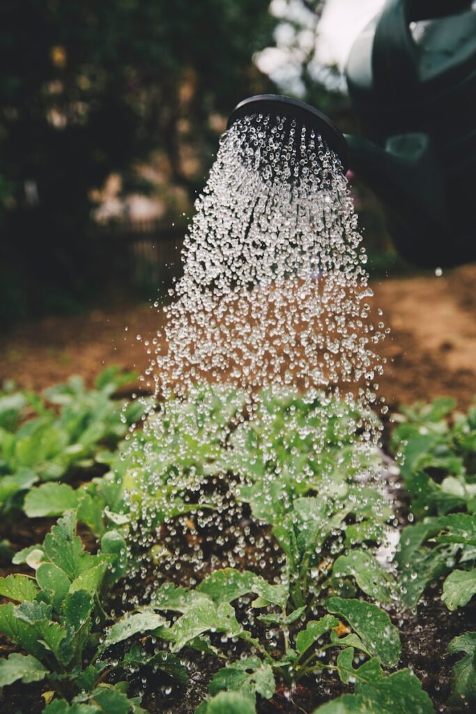 Système de purification d’eau sur mesure installé dans une exploitation agricole pour une irrigation efficace et durable.